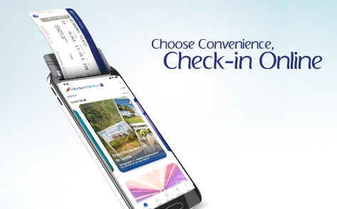cape-town-airport-online-check-in